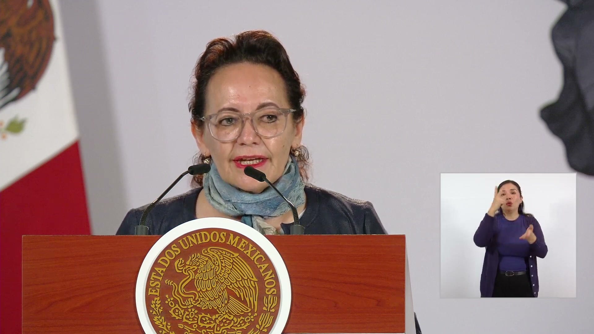 Una mujer con lentes habla ante dos micrófonos en el podio con el escudo nacional, con una intérprete de lengua de señas en un recuadro.