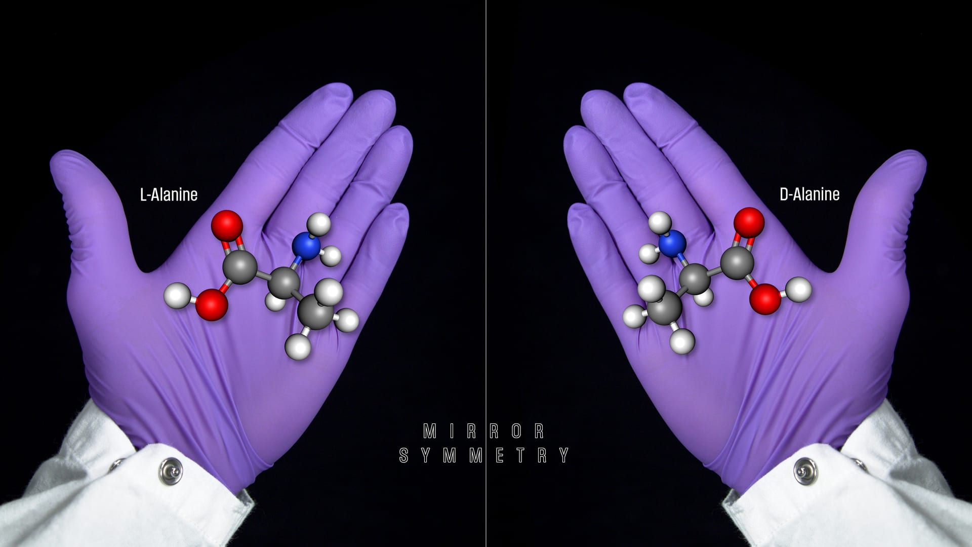 Two hands in purple gloves hold models of molecules that mirror each other, labeled L-Alanine and D-Alanine, against a black background.