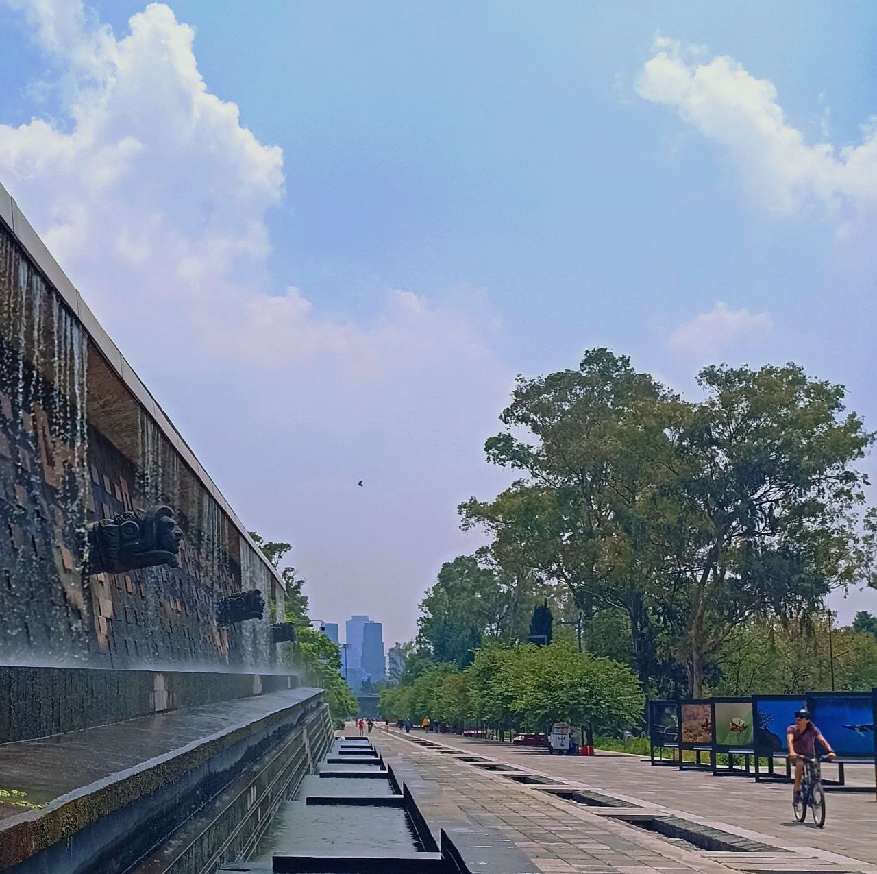 Un muro de piedra con cabezas esculpidas por donde cae agua, junto a un andador del Bosque de Chapultepec con árboles y una ciclista.