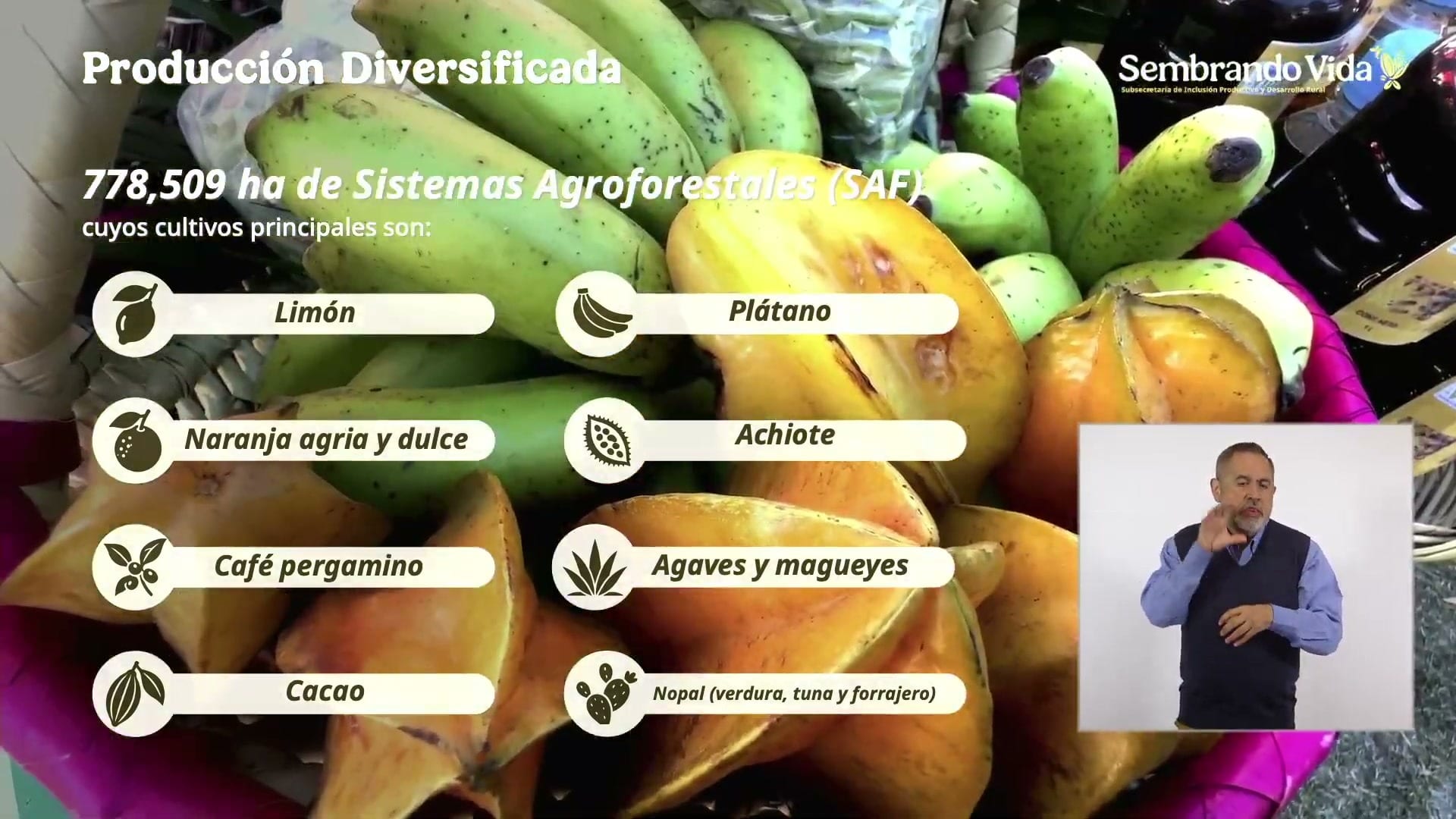 Lámina de la conferencia con el título Producción Diversificada y los cultivos de los sistemas agroforestales, junto a una intérprete de lengua de señas.