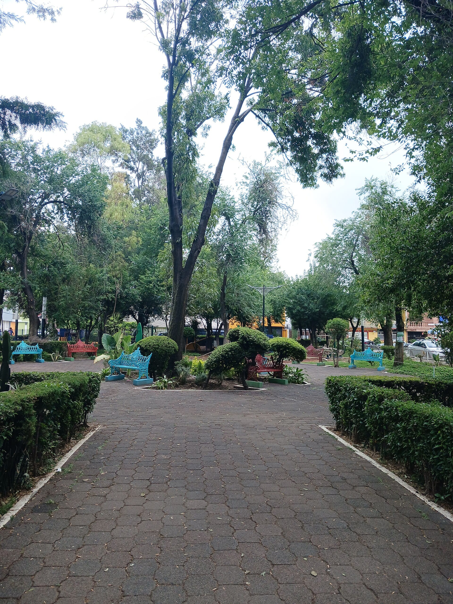 Un camino de piedra entre árboles y jardines en un parque de la colonia Valle del Tepeyac, en Gustavo A. Madero.