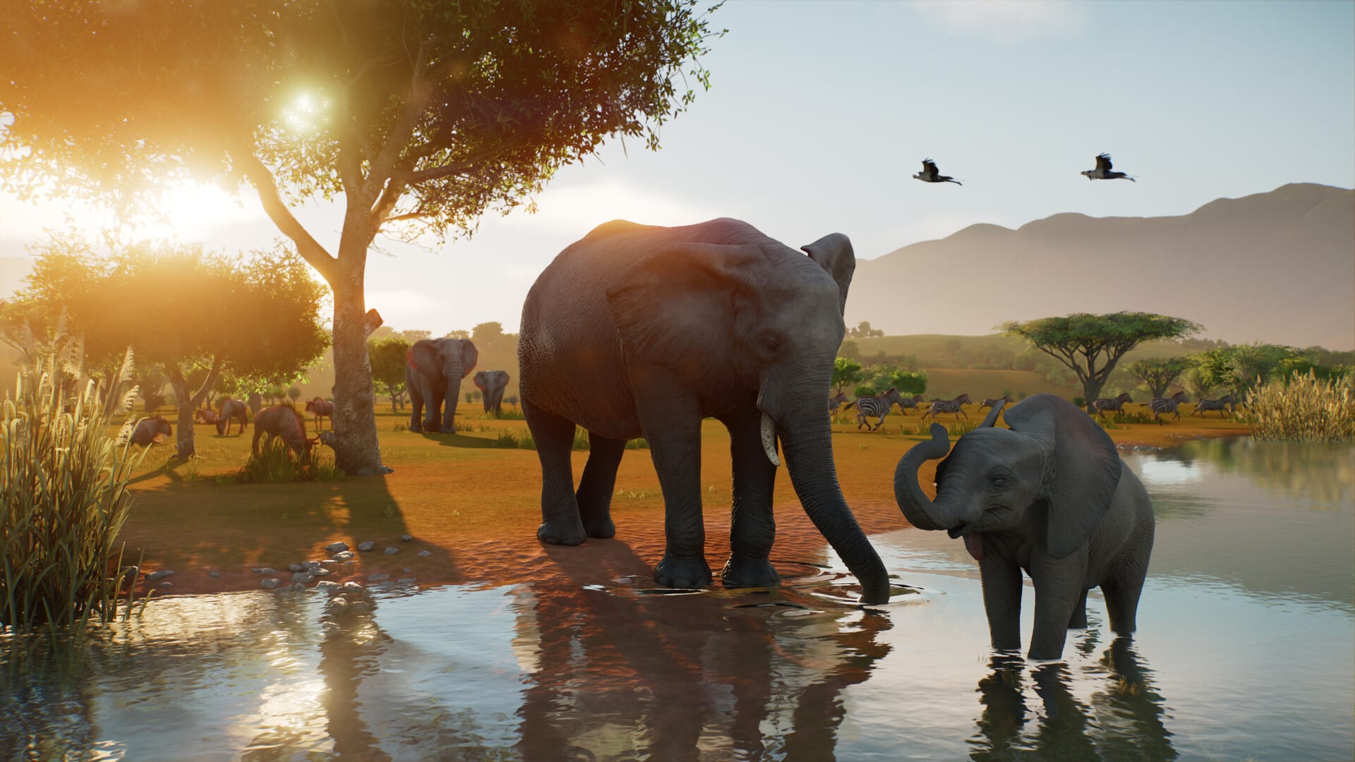 An adult elephant and a calf with its trunk raised stand by a waterhole on the savanna, with zebras, wildebeest and birds behind them at sunset.