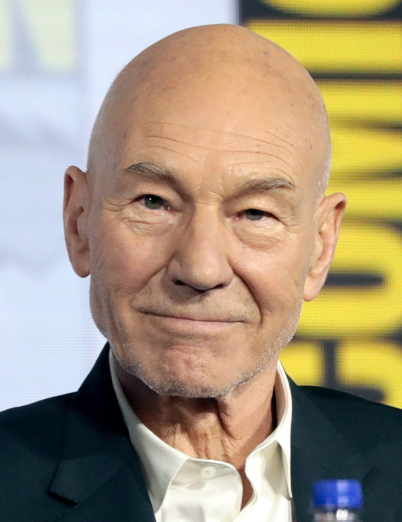 Patrick Stewart, with gray hair and a short beard, wears a dark jacket and smiles against a light background at a 2019 event.