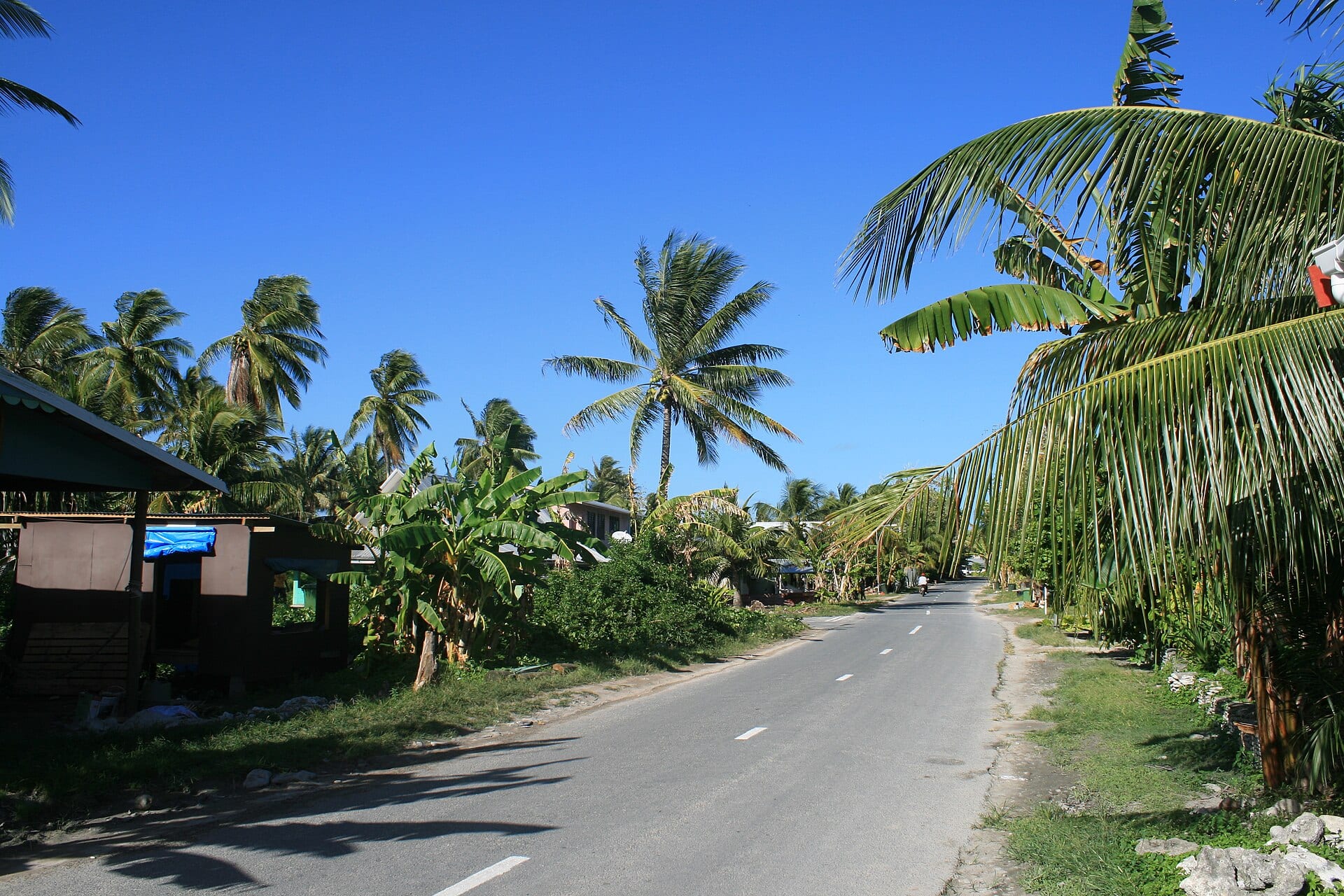A paved road runs between palm trees and low houses in Funafuti, the capital of Tuvalu, under a blue sky.