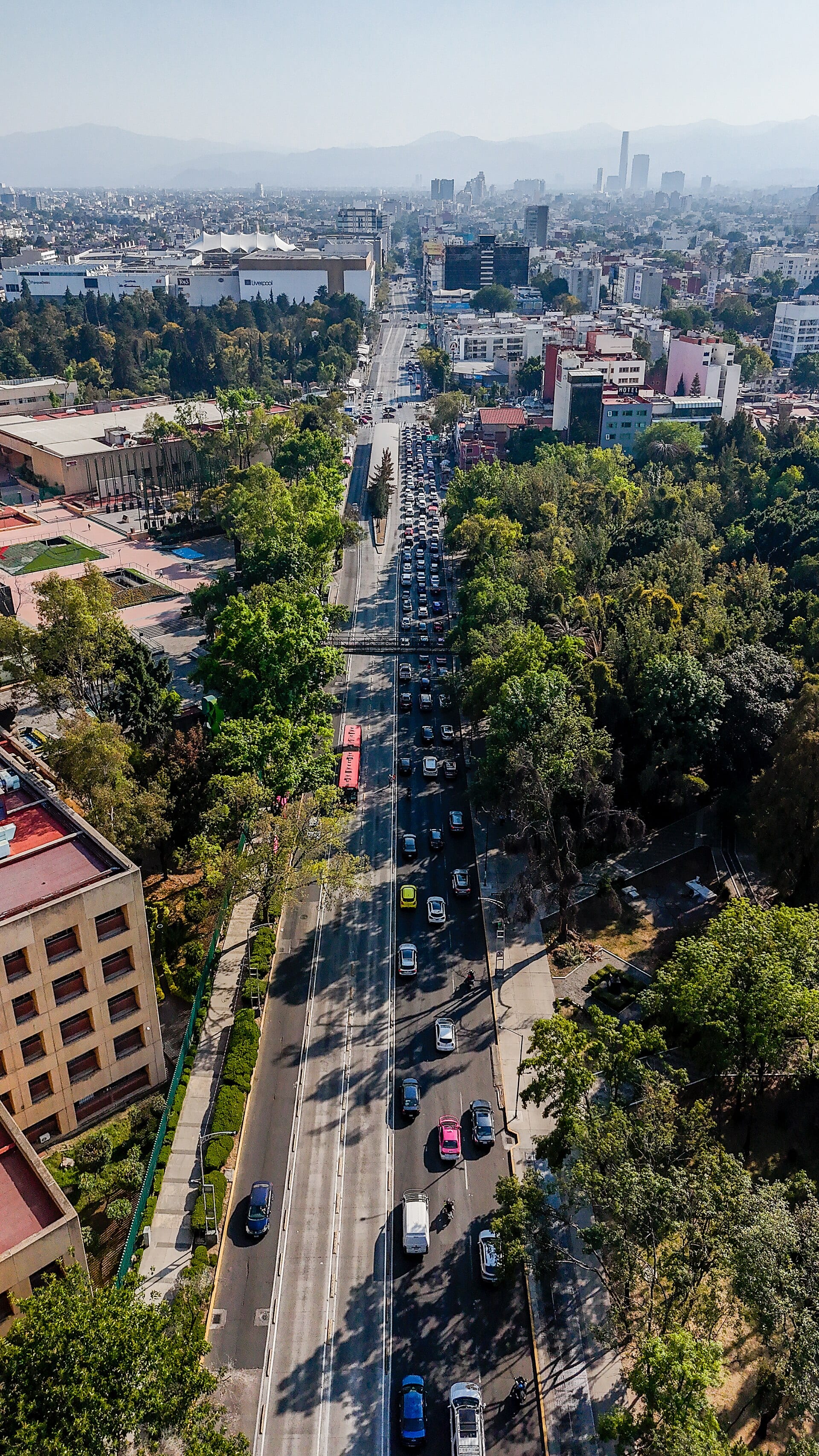 Vista aérea de una avenida arbolada de la Ciudad de México con una fila de autos y dos autobuses rojos en un carril confinado.