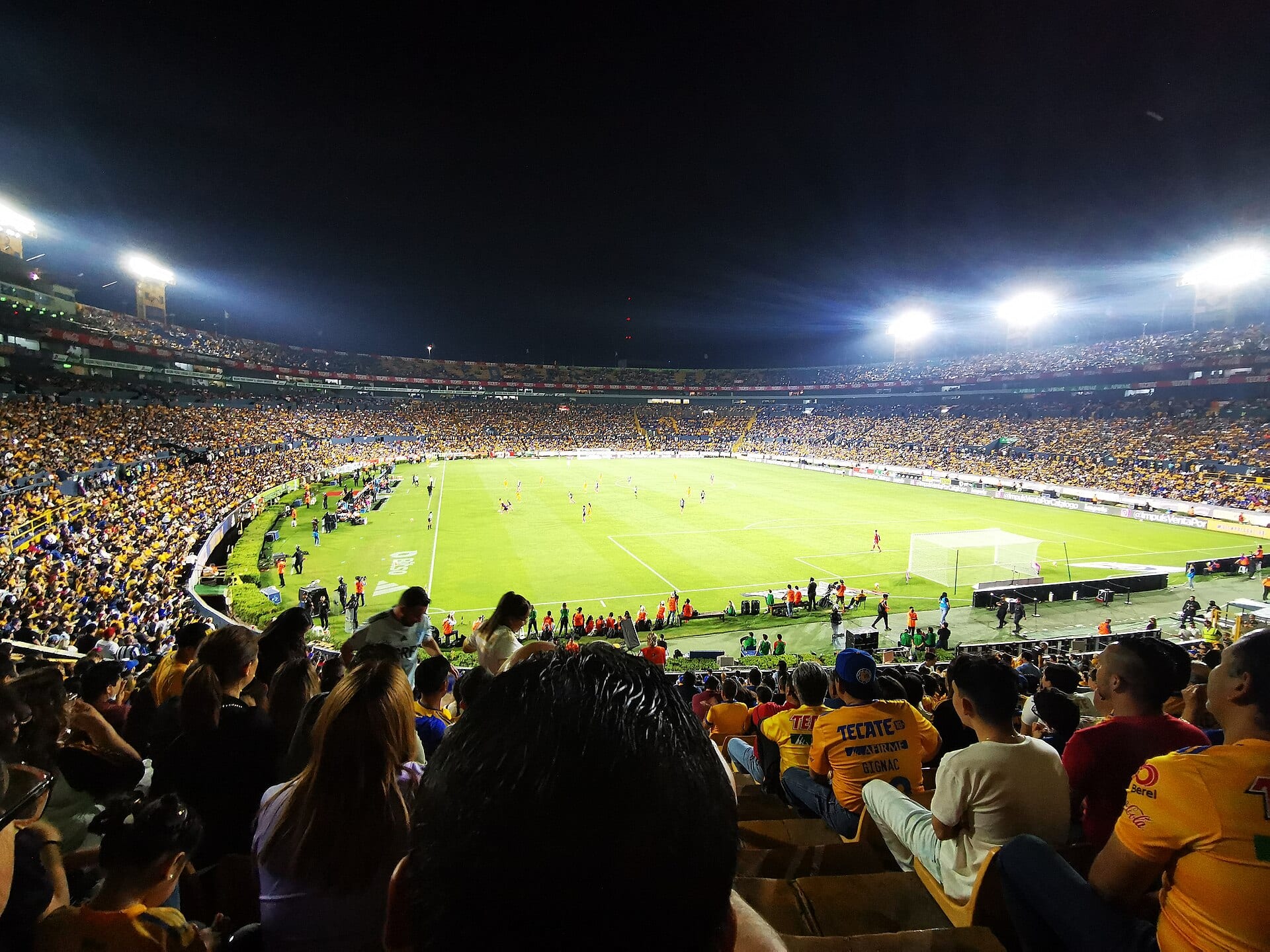 Vista panorámica desde las gradas llenas de aficionados con playeras amarillas hacia la cancha iluminada de un estadio de fútbol por la noche.