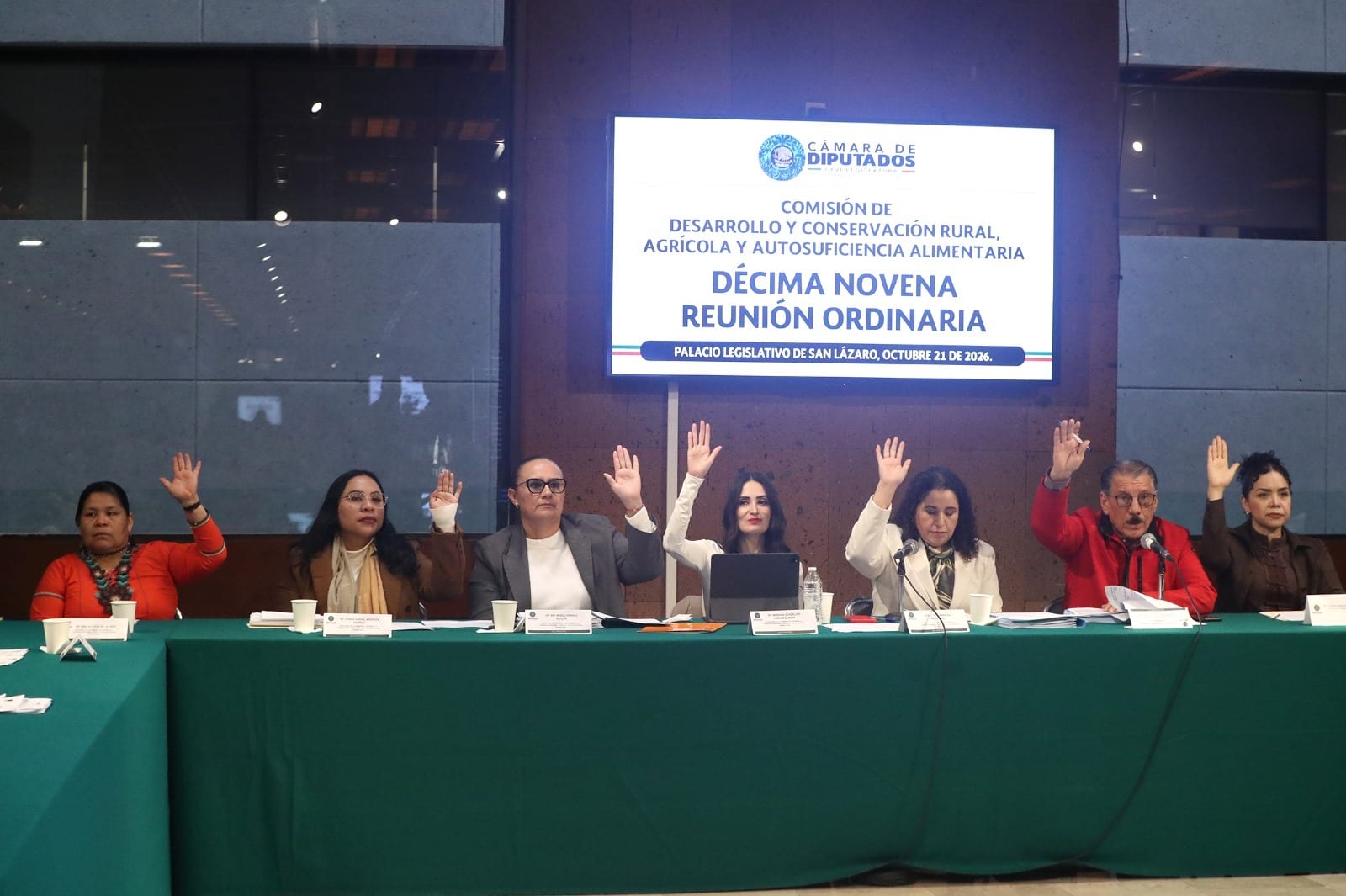 Siete integrantes de la comisión levantan la mano para votar sentados ante una mesa verde, bajo el letrero de la Décima Novena Reunión Ordinaria.