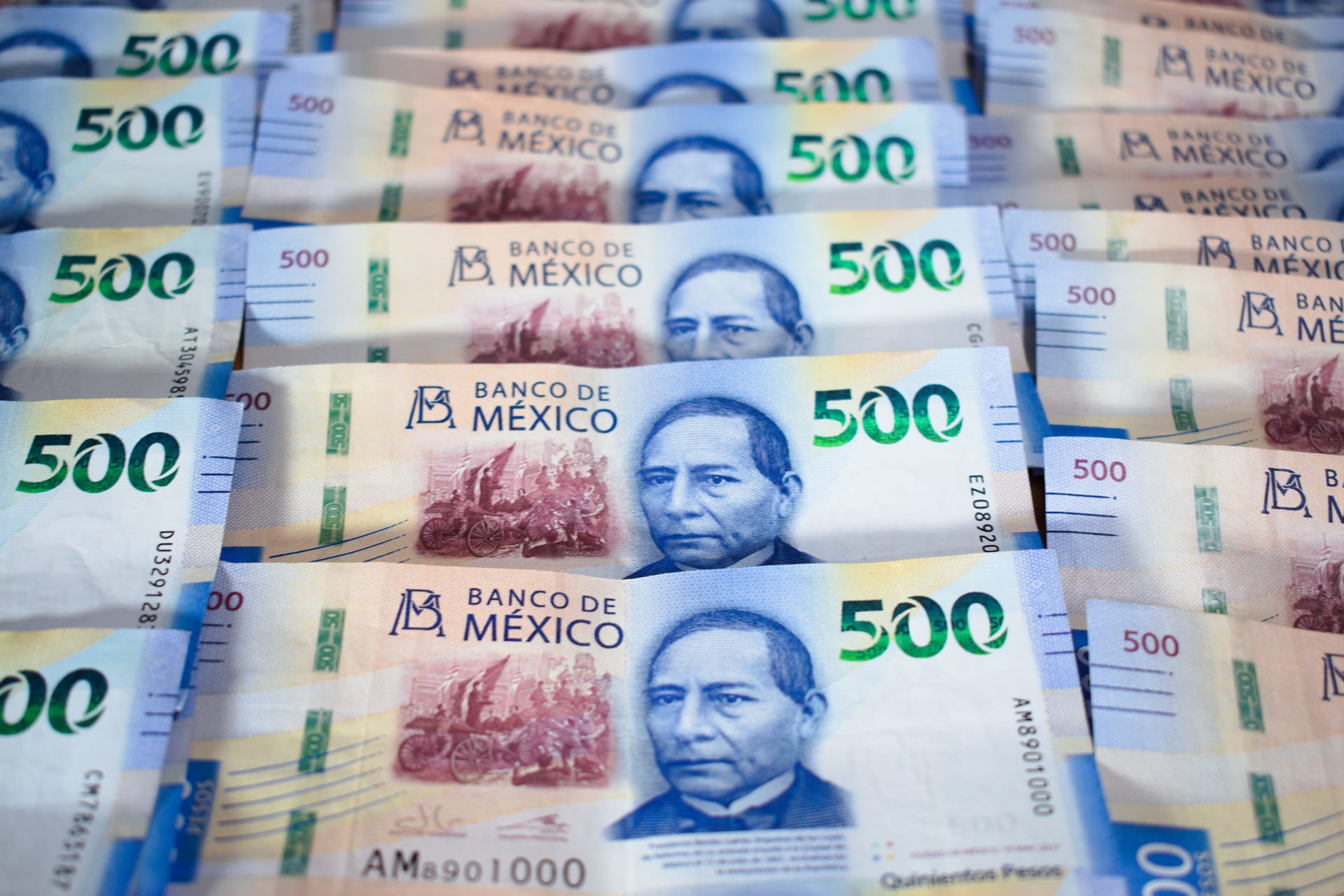 Varios billetes mexicanos de 500 pesos con el retrato de Benito Juárez, extendidos uno sobre otro.