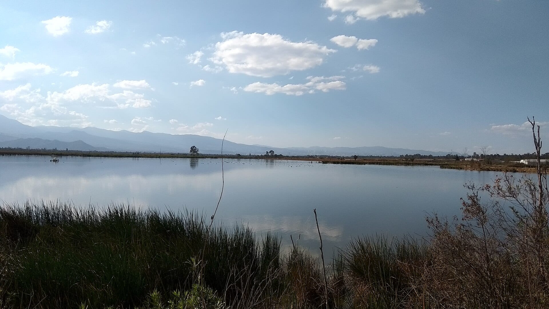 Una laguna de aguas quietas con carrizos en la orilla y montañas al fondo bajo un cielo con nubes.