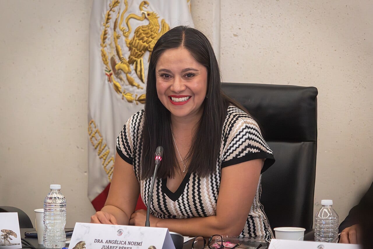 Retrato de Angélica Noemí Juárez Pérez, subsecretaria de Educación Básica