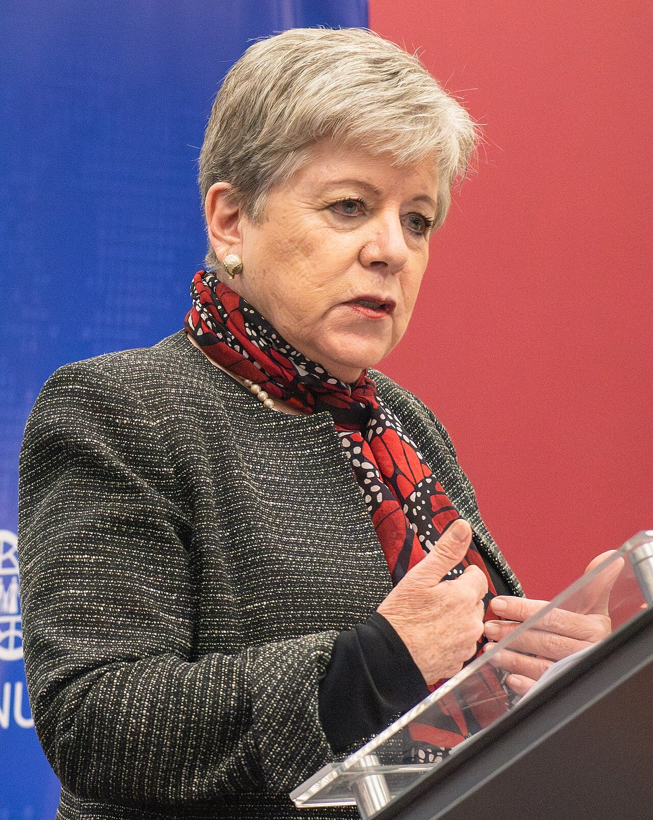 Retrato de Alicia Bárcena Ibarra, secretaria de Medio Ambiente y Recursos Naturales