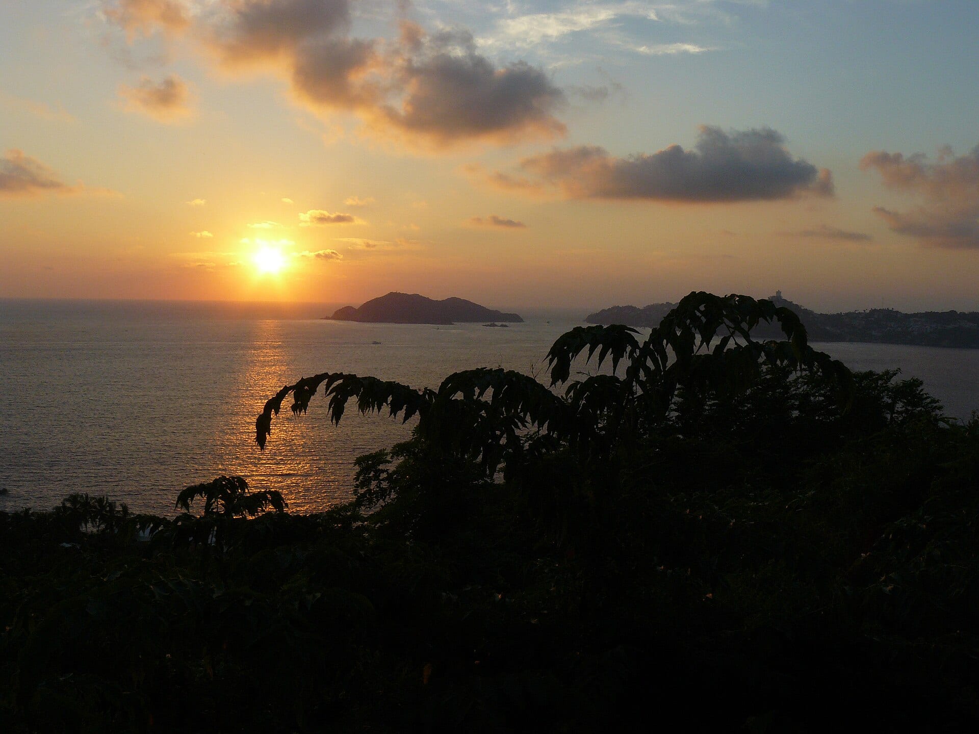 The sun sets over the sea with an island in the distance, among orange clouds and the dark silhouette of plants in the foreground.