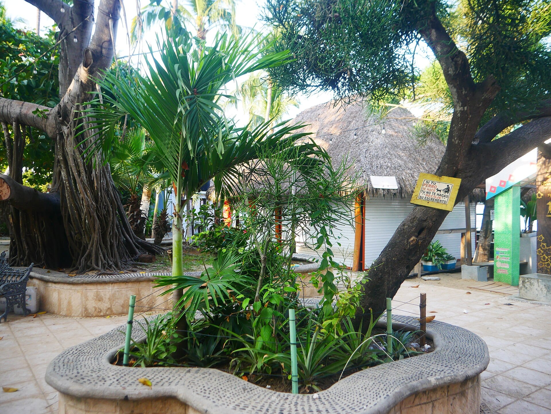 Plaza con árboles, palmas y una palapa en el acceso a la playa de San Pancho, Nayarit.