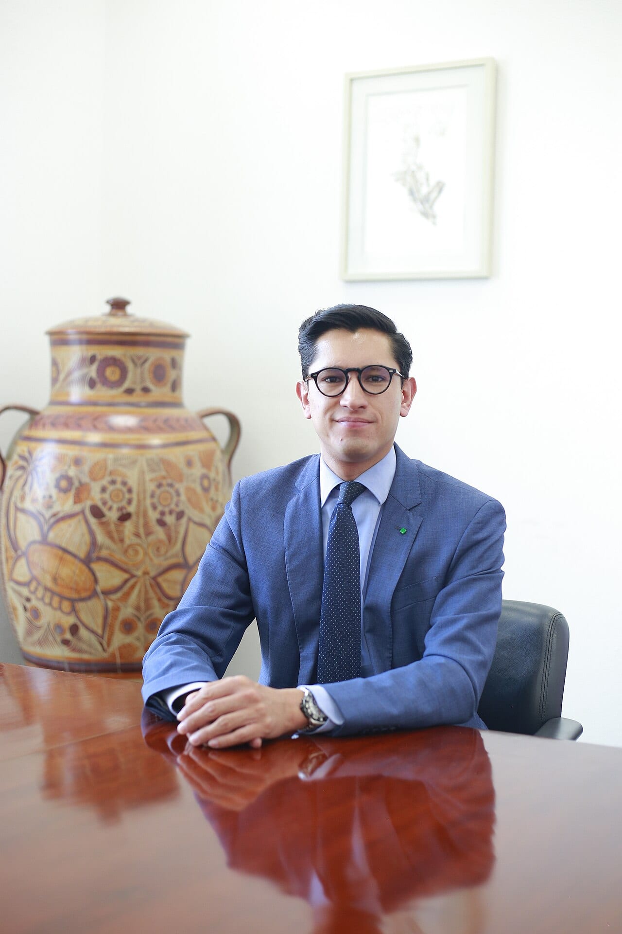 Retrato de Roberto Velasco Álvarez, secretario de Relaciones Exteriores