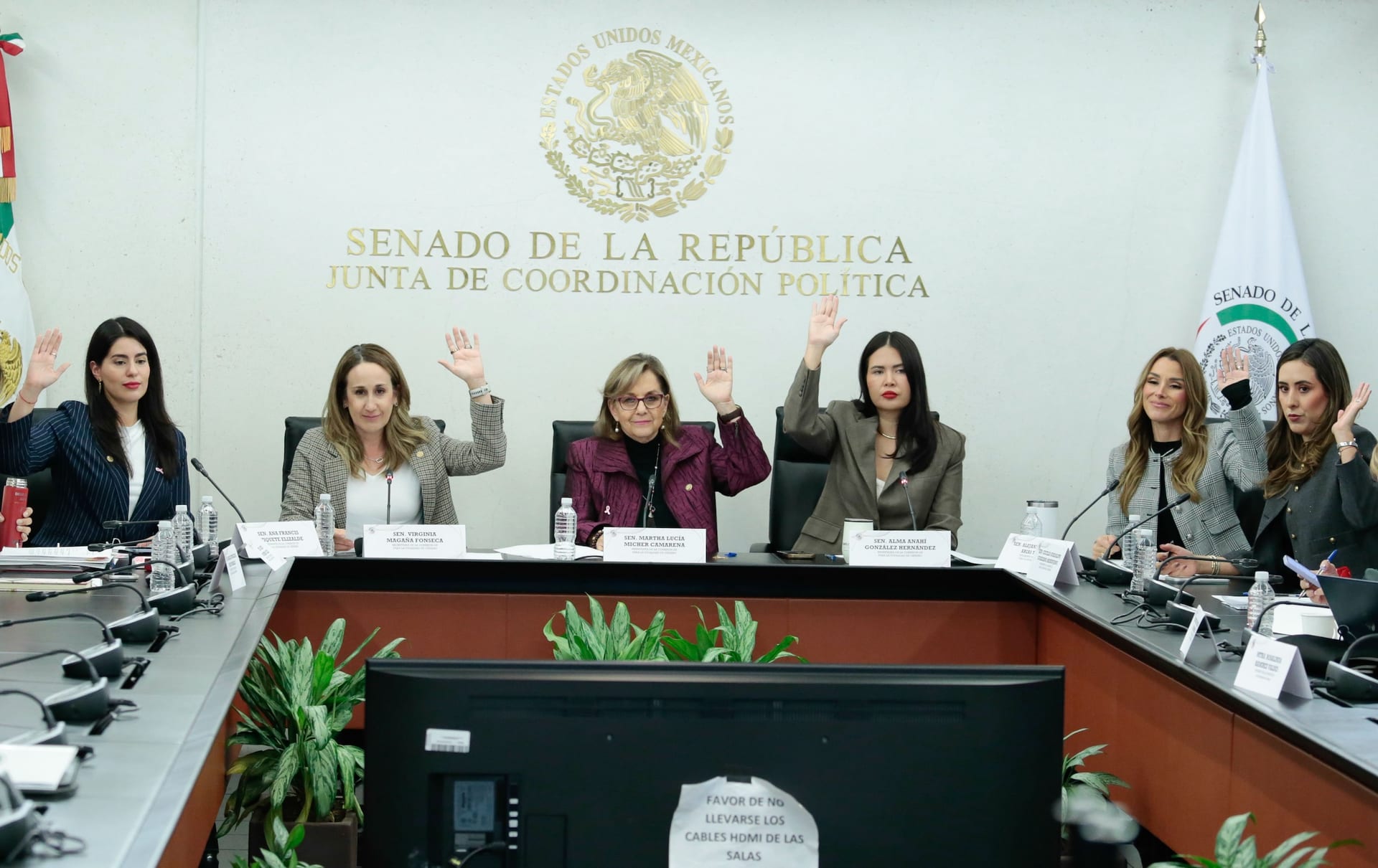 Seis senadoras levantan la mano durante una votación en una sala de comisiones del Senado, con Martha Lucía Mícher al centro.