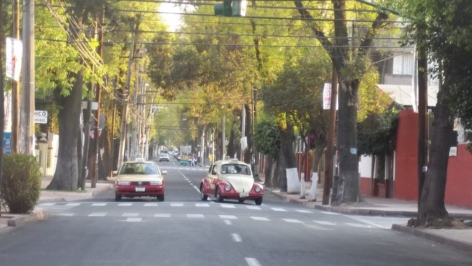 Una avenida arbolada de Azcapotzalco con dos taxis, uno de ellos un vocho, cruzando un paso peatonal.