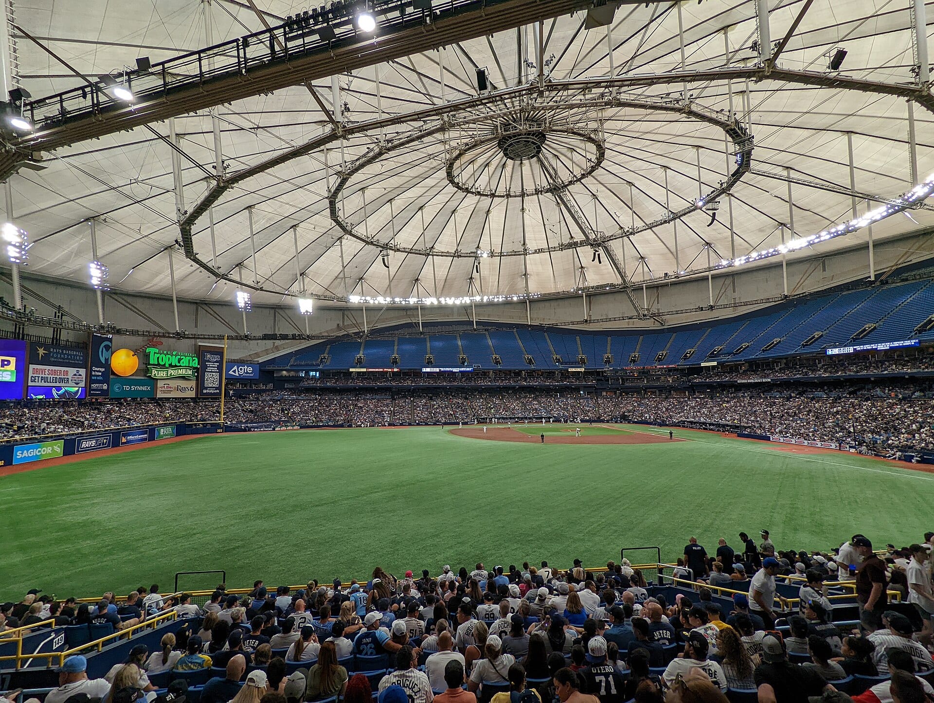 Vista del campo del Tropicana Field desde el jardín izquierdo, con la cúpula blanca arriba y las gradas llenas de aficionados.