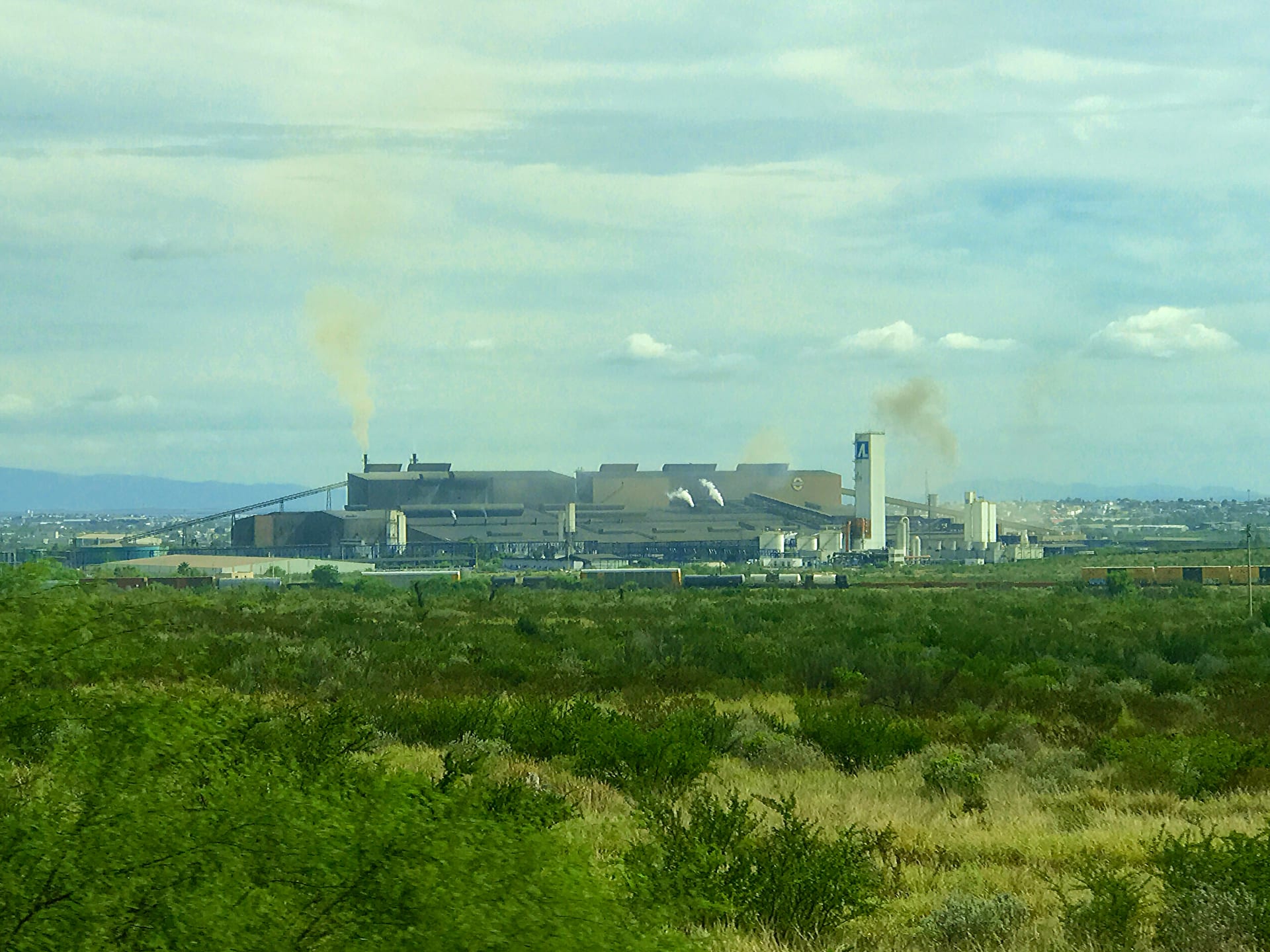 Vista a distancia de una planta siderúrgica con varias naves industriales y chimeneas expulsando humo, con matorral en primer plano.