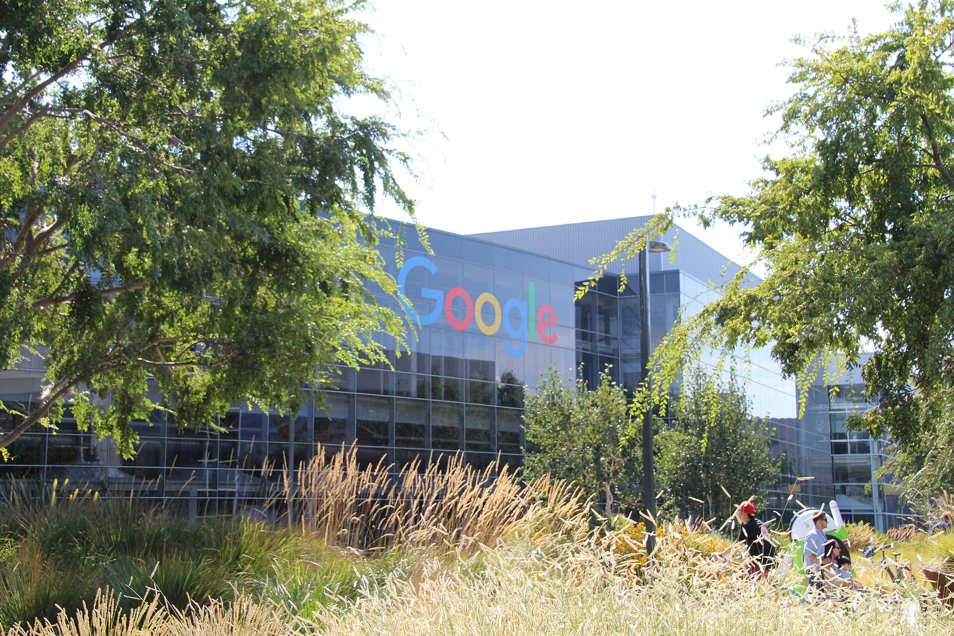 Glass building on Google's Mountain View campus with the company logo, seen through trees and tall grass.