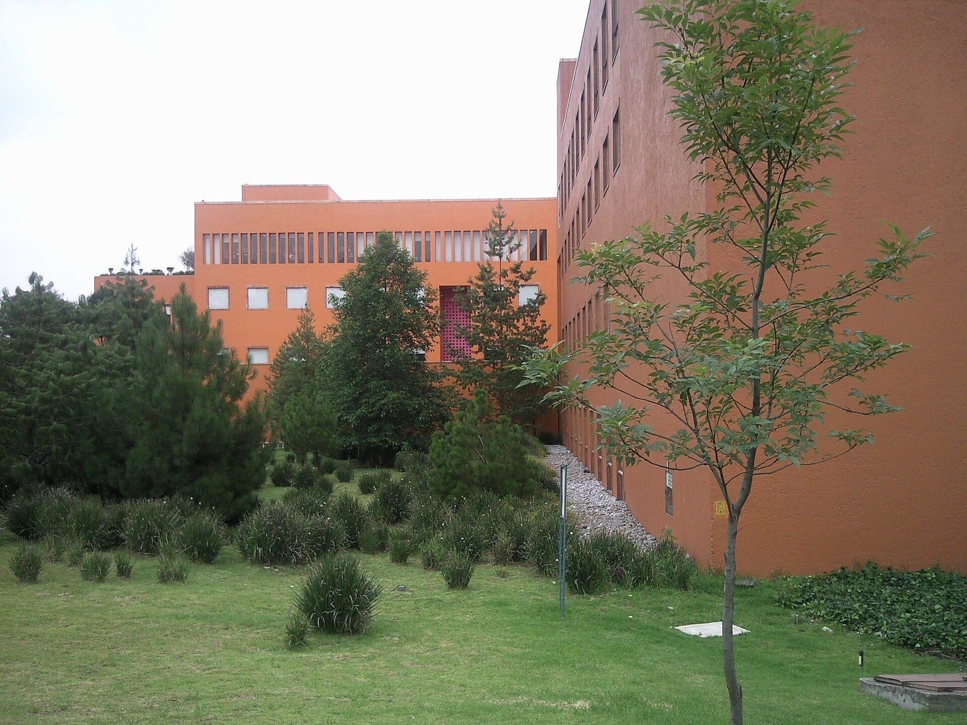 Dos edificios de muros naranja rodeados de pinos y pasto, con un árbol joven en primer plano.