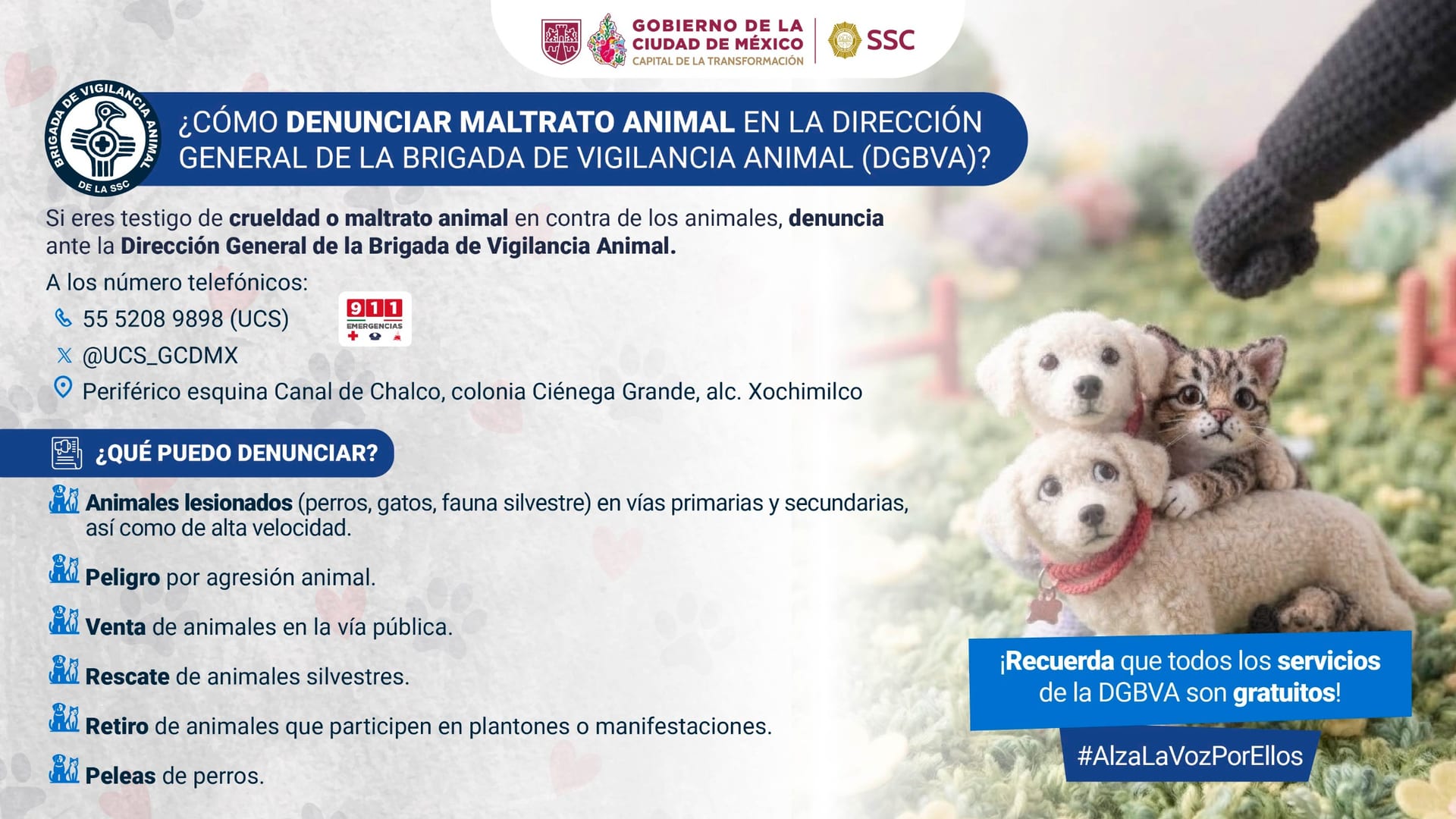 Cartel de la SSC: cómo denunciar maltrato animal ante la Dirección General de la Brigada de Vigilancia Animal, con teléfonos, dirección en Xochimilco, seis casos que se pueden reportar y el aviso de que los servicios son gratuitos.