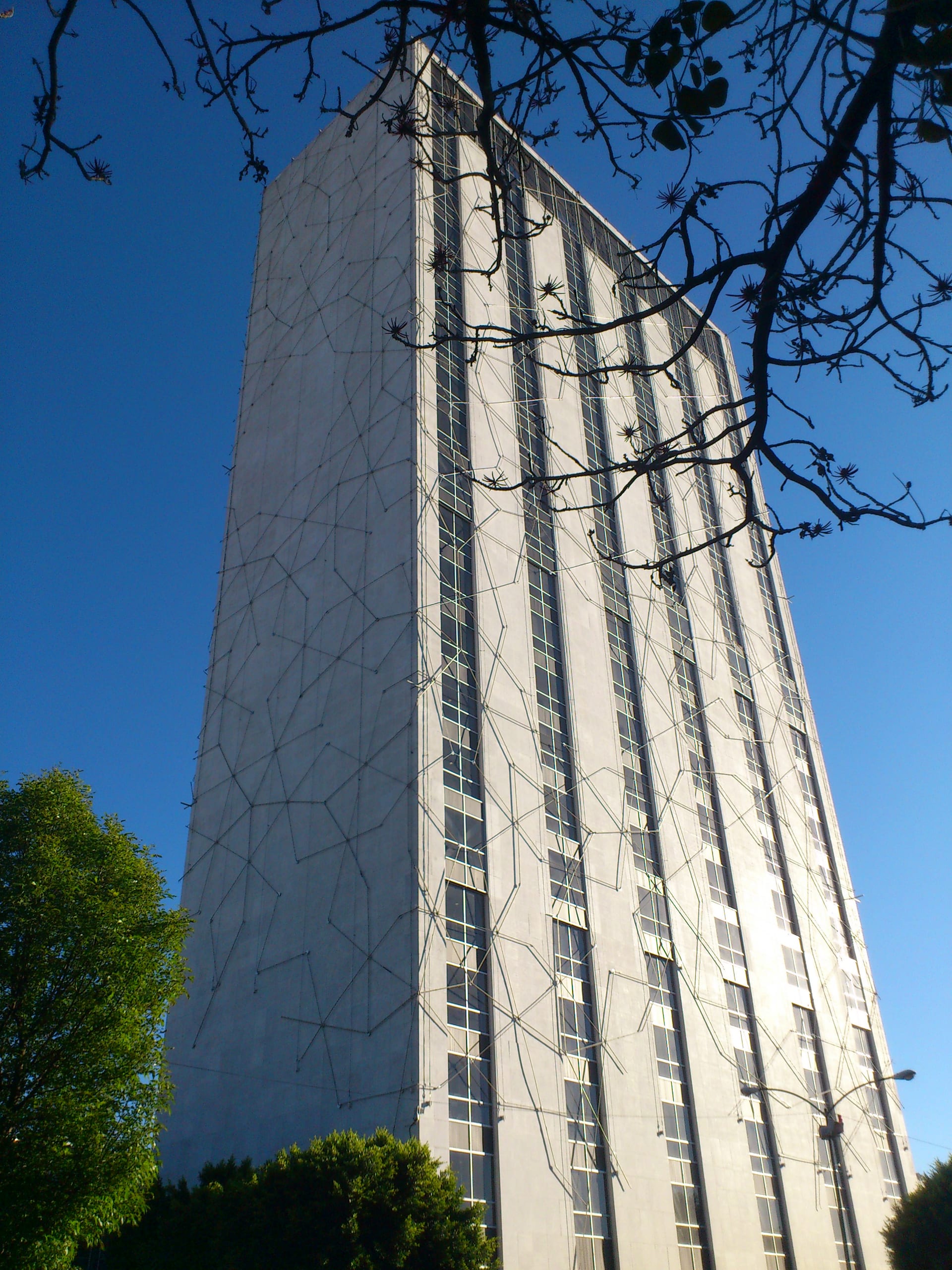 Torre de oficinas de la Secretaría de Relaciones Exteriores vista desde abajo, con una rama en primer plano y cielo azul.