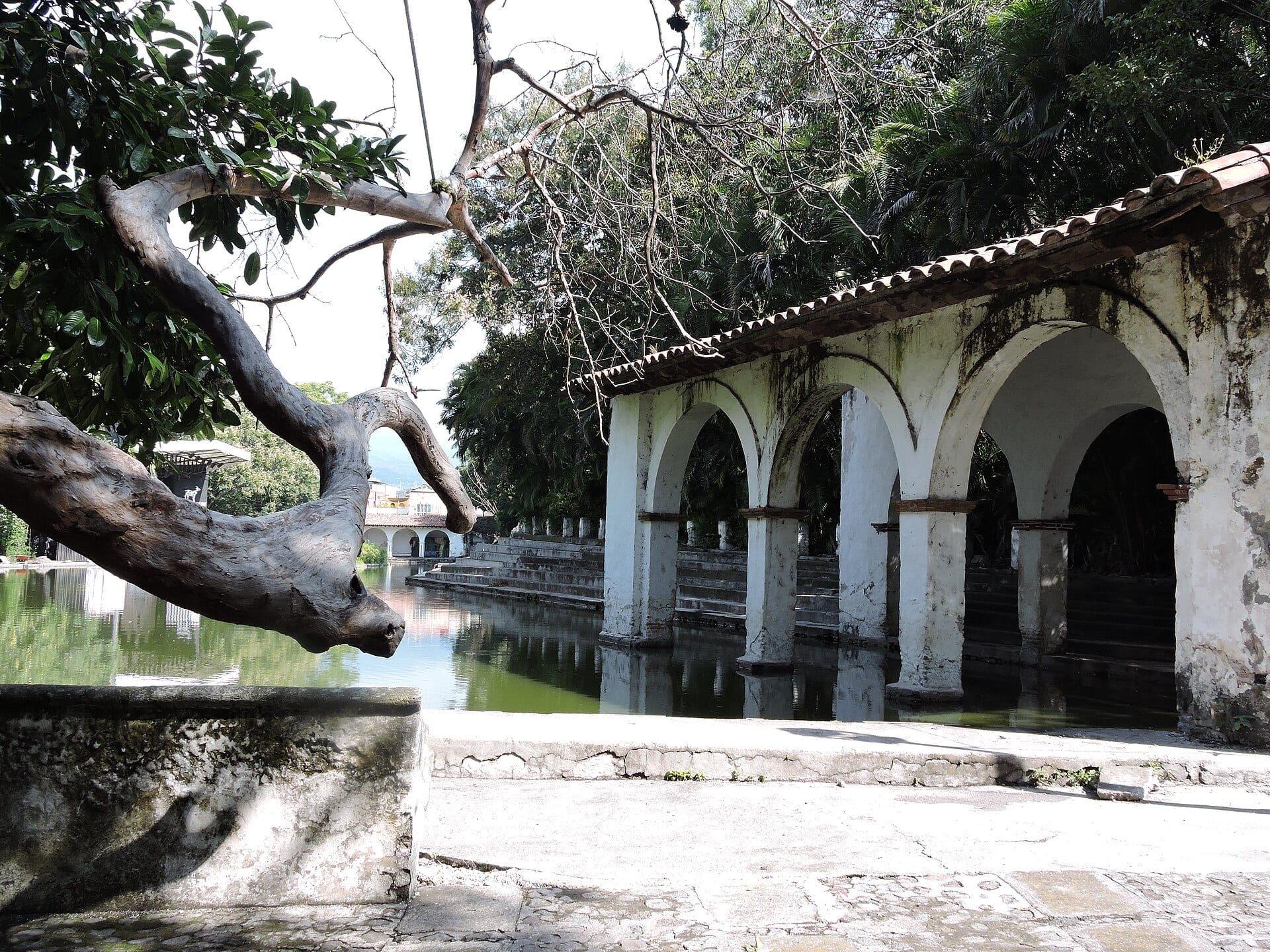 Arcos de un edificio blanco junto a un estanque de agua verde, rodeado de árboles, en un jardín histórico de Cuernavaca.