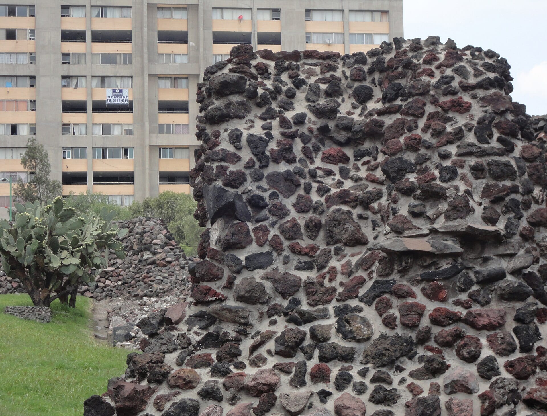 Muro de piedra volcánica de una zona arqueológica con un nopal y, al fondo, un edificio de departamentos de Tlatelolco.