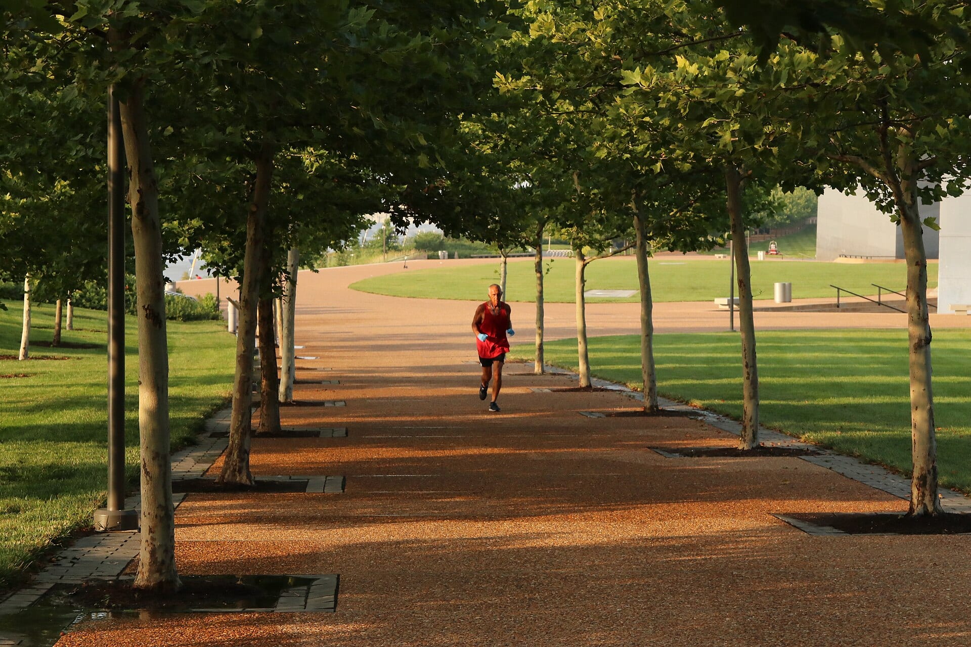 Un hombre con camiseta roja corre por un sendero de grava bajo una hilera de árboles en un parque, con el césped iluminado al fondo.