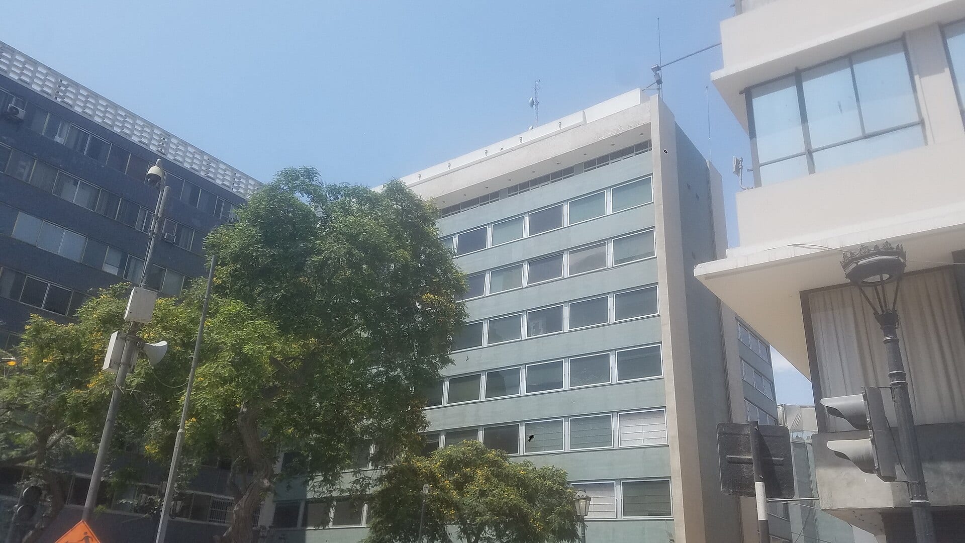 Edificio de oficinas de fachada verde grisácea, con un árbol al frente y otros edificios a los lados, bajo un cielo despejado.