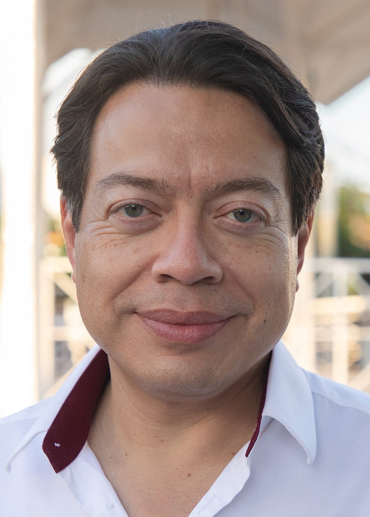 Retrato de Mario Delgado Carrillo, secretario de Educación Pública