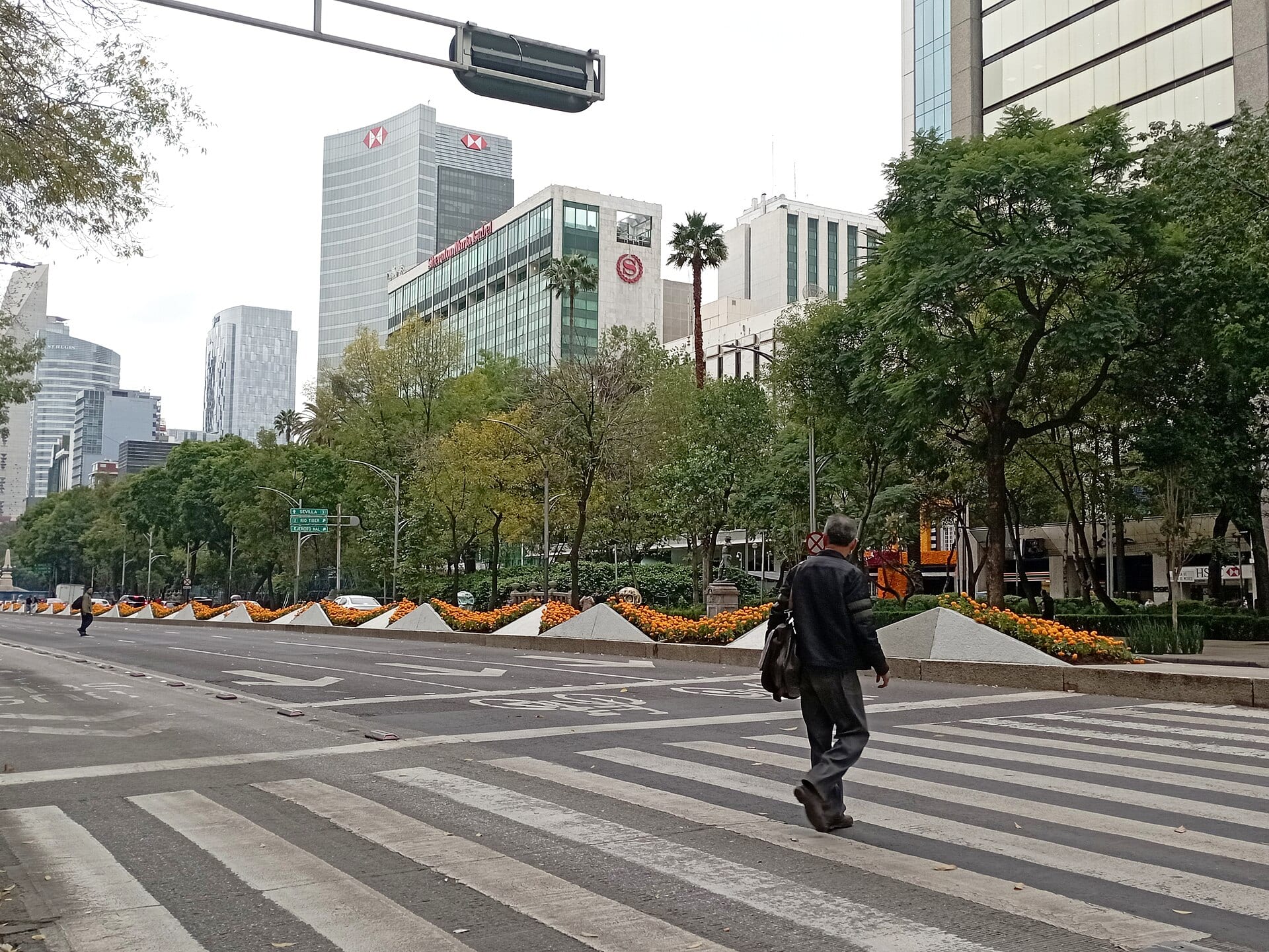 Flores de cempasúchil anaranjadas sobre el camellón de Paseo de la Reforma, con rascacielos al fondo y un peatón cruzando la avenida.