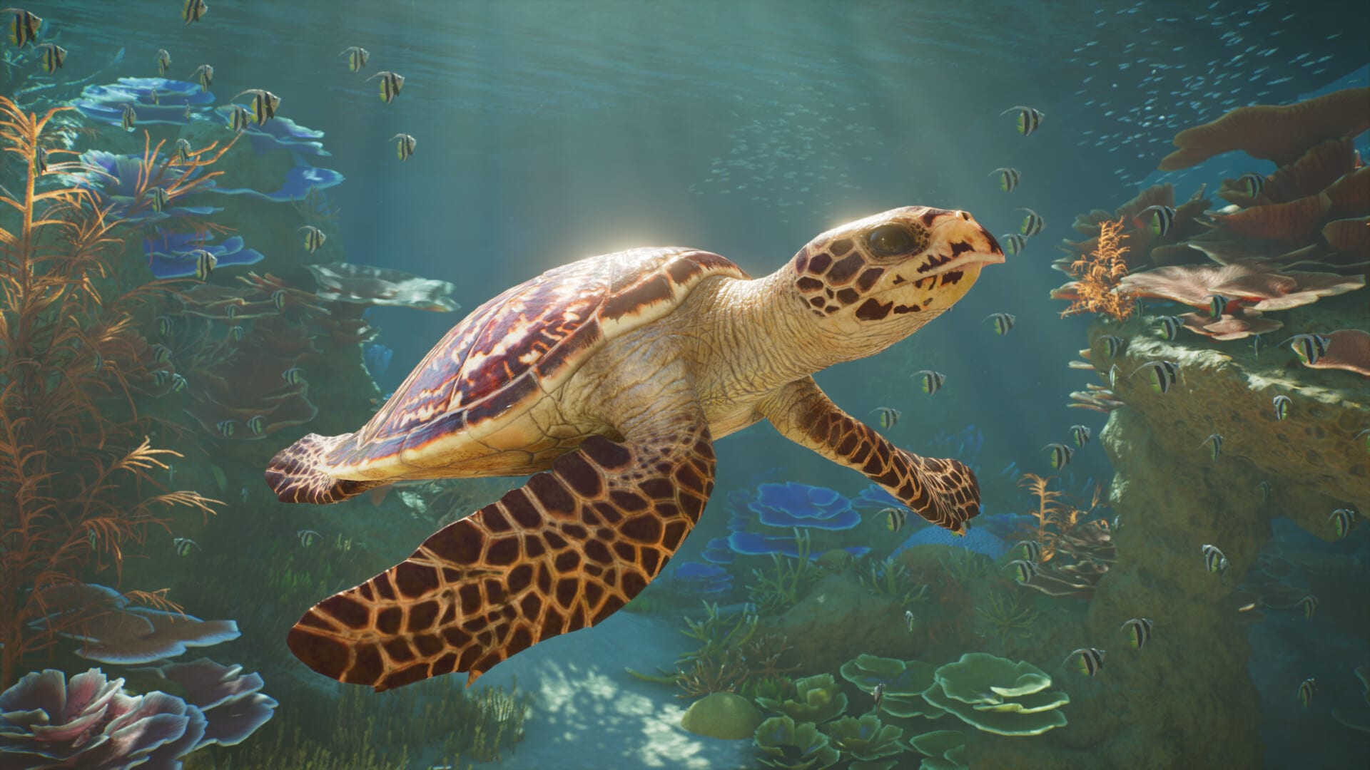 A hawksbill turtle swims over a reef of blue and orange coral, with striped fish and sunlight filtering down from the surface.