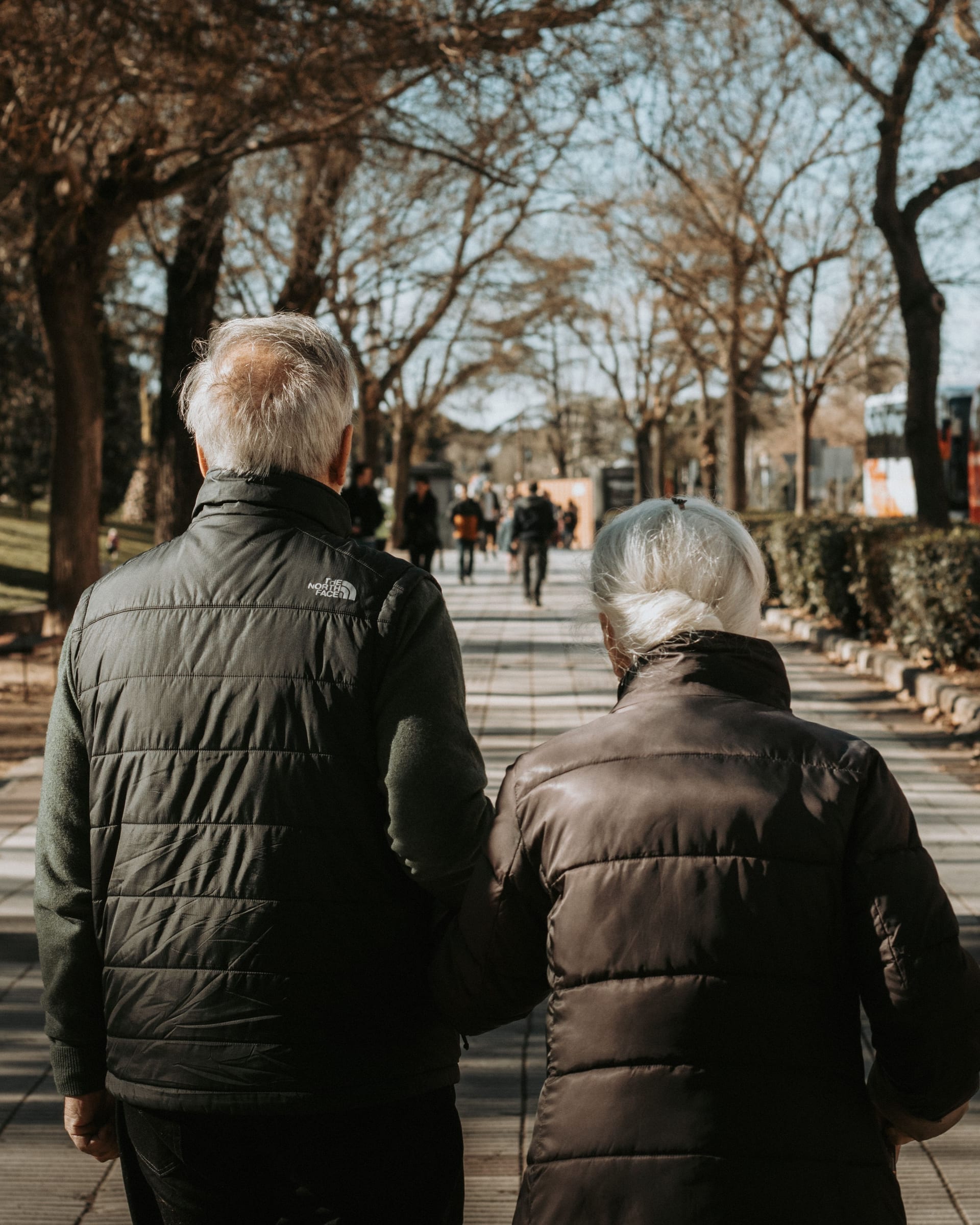 An older couple, seen from behind, walk arm in arm along a sunny, tree-lined path.