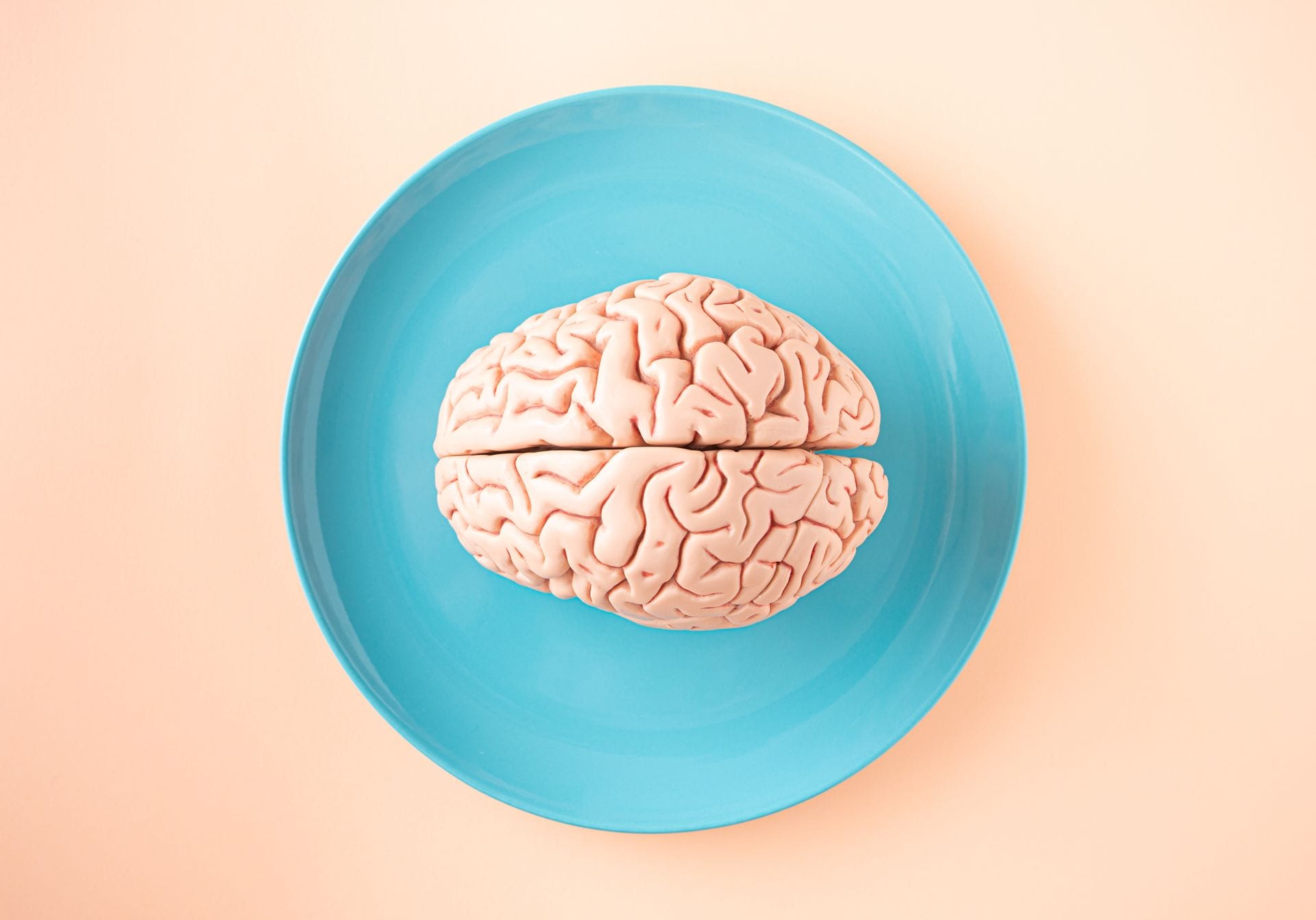 Un modelo de plástico de un cerebro humano visto desde arriba, sobre un plato azul y un fondo color durazno.